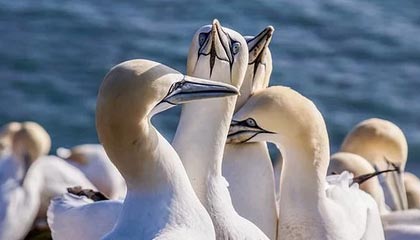 海东伴游,定制QQ:3494206190微信:act1322